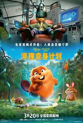 完结高清影视